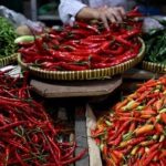Harga Cabai Rawit Hijau Rp50 Ribu, Cek Harga Sembako Pasar Tulungagung Indramayu