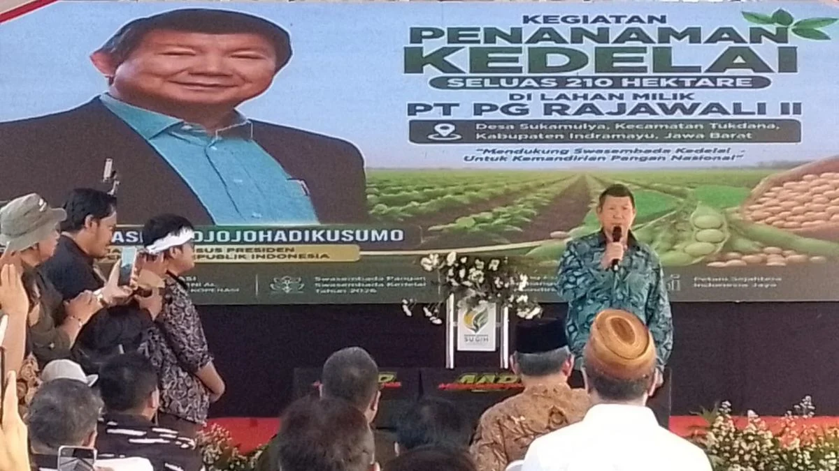 Hashim Hadiri Penanaman Kedelai Nasional Indramayu: Utusan Khusus Prabowo