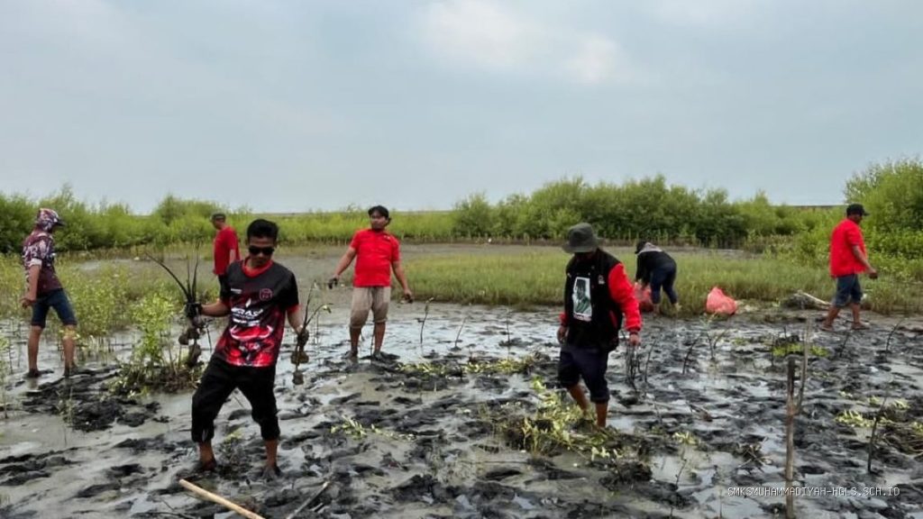 Kader PDIP Indramayu Tanam Mangrove di Kandanghaur Pesisir Eretan Kulon