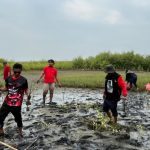 Kader PDIP Indramayu Tanam Mangrove di Kandanghaur Pesisir Eretan Kulon