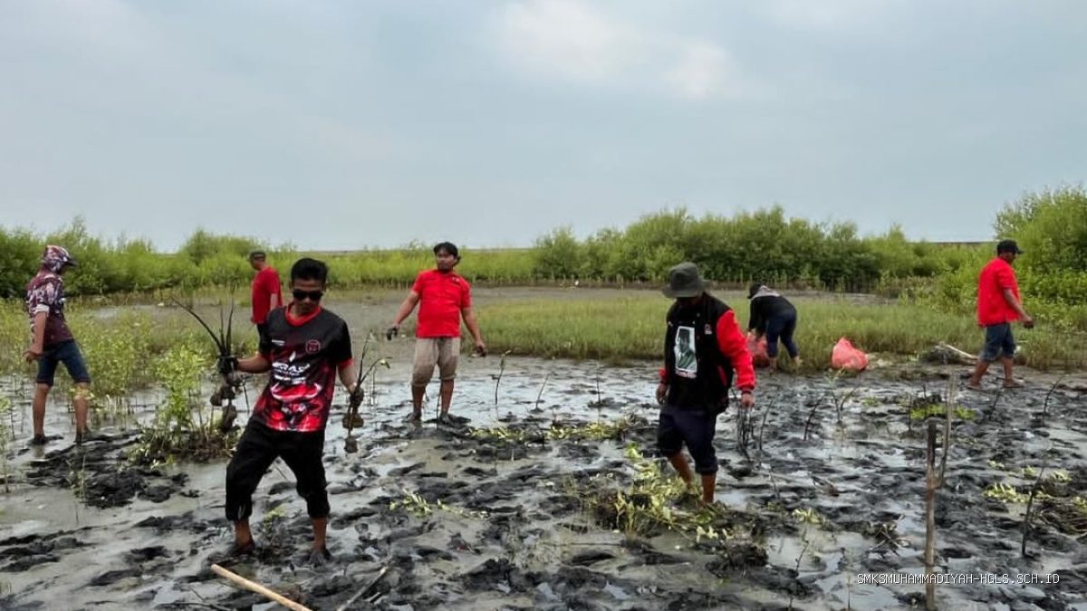 Kader PDIP Indramayu Tanam Mangrove di Kandanghaur Pesisir Eretan Kulon