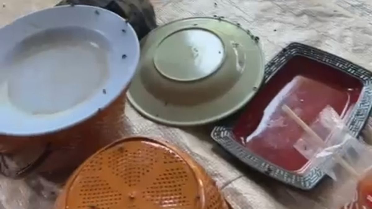 Kandang Ayam Broiler Kamplong Picu Lalat Merajalela, Warga Drunten Wetan Resah