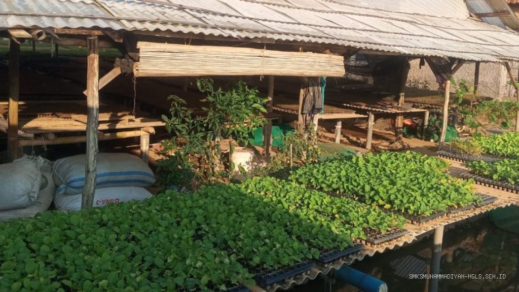 Ketekunan Ziyadah: Sobidin Layani Petani Indramayu 9 Tahun