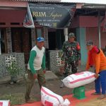 Panen Padi Sumuradem: Babinsa Pastikan Kesejahteraan Petani