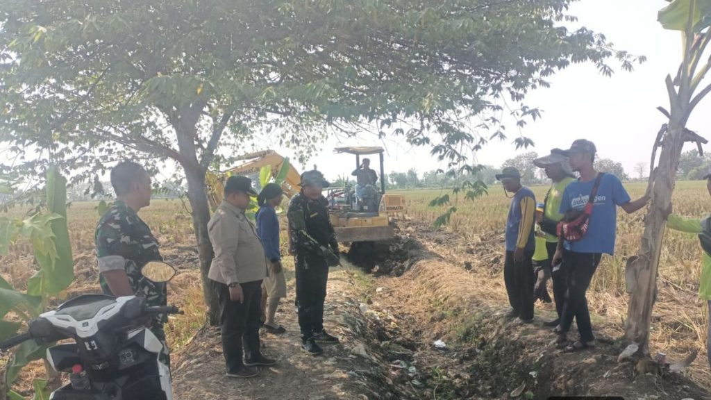 Pantau Program Padat Karya Cikedung: Peltu Rudiyanto Pastikan Dana Desa Tepat Sasaran
