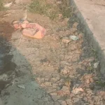 Petani Sawah Indramayu Keluhkan Saluran Tersier Tersumbat Tanah