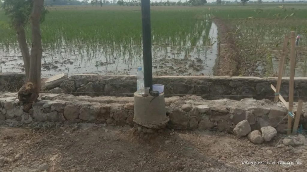 TPT Indramayu: Pohon Dibiarkan, Proyek Jalan Sukamelang Disorot