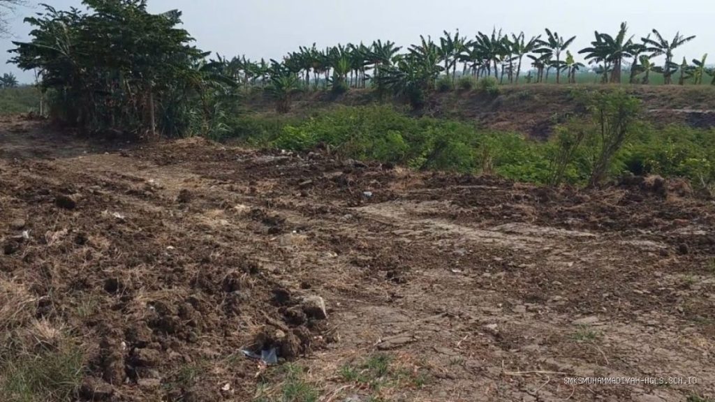 BBWS Bongkar Tanggul: Oknum Langgar Hukum, Aset Negara Terancam