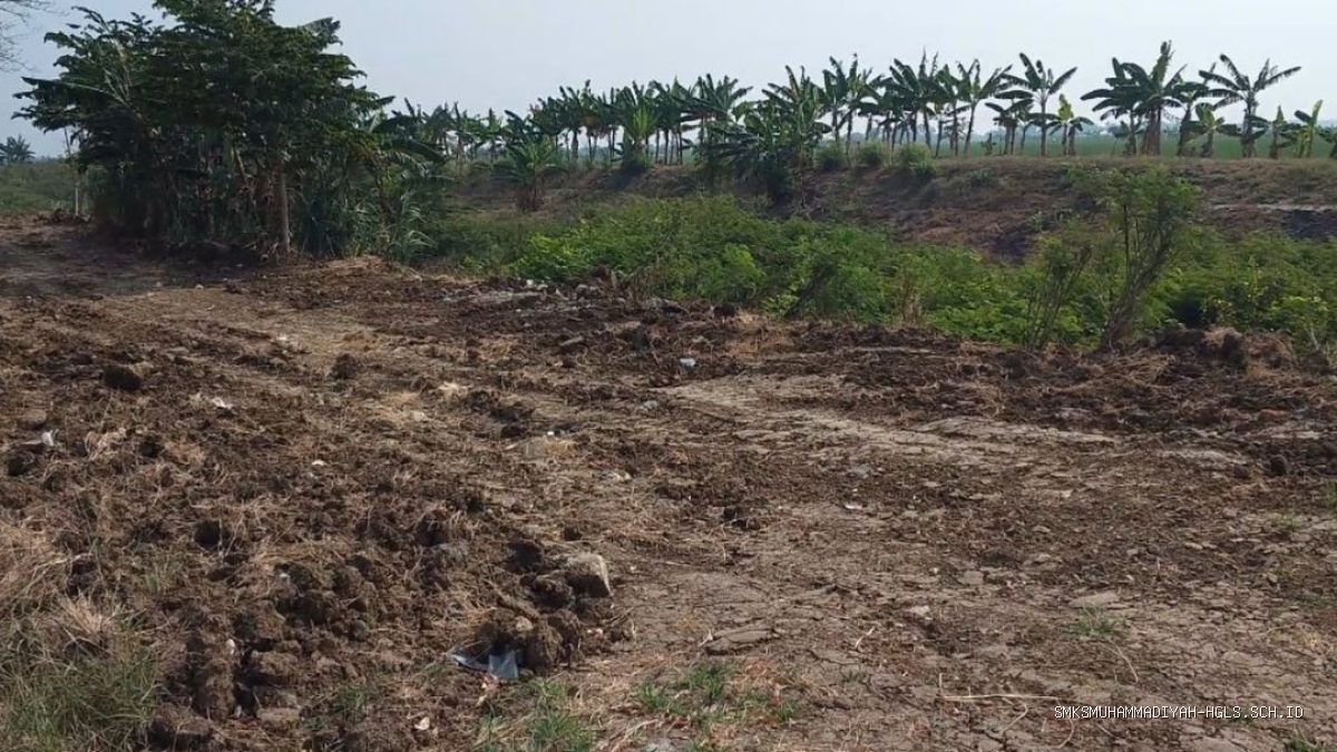 BBWS Bongkar Tanggul: Oknum Langgar Hukum, Aset Negara Terancam