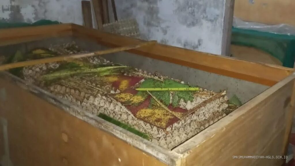 Budidaya Jangkrik Jadi Cuan, Usaha Sampingan Warga Jangga Indramayu