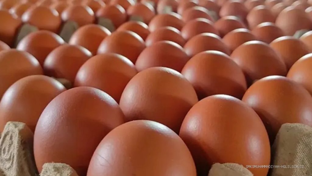 Harga Telur di Pasar Terisi Indramayu Tembus Rp30 Ribu, Kok Bisa?