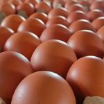Harga Telur di Pasar Terisi Indramayu Tembus Rp30 Ribu, Kok Bisa?