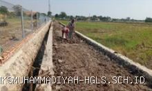 Karangampel Indramayu Geger: TPT & UPTD Disambut Harum, Petani Optimis Panen 6 Juli