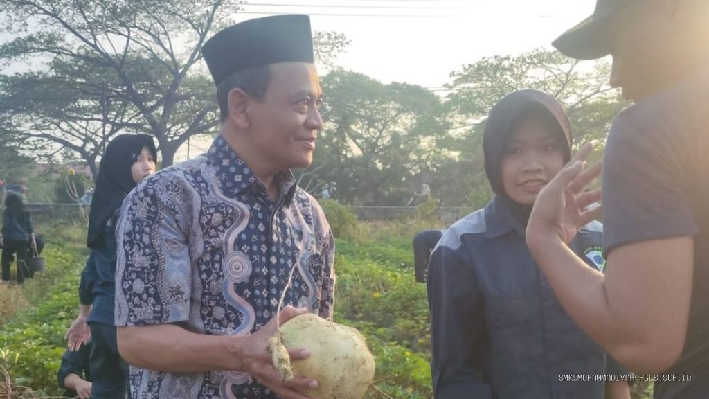 Lahan Kritis Bukan Halangan, TEFA ATPH SMKN 1 Losarang Indramayu Sukses Panen Ubi Jalar Varietas Unggul