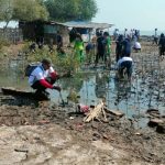Peringati Hari Mangrove, Pemkab Indramayu Aksi di Pantai Eretan