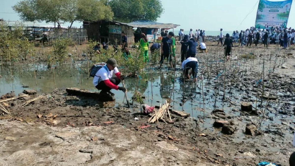 Peringati Hari Mangrove, Pemkab Indramayu Aksi di Pantai Eretan