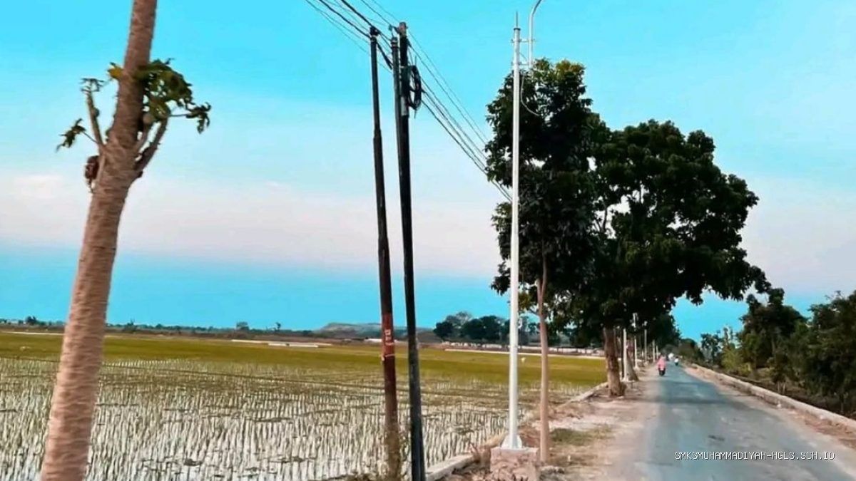 PJU Baru Terpasang, Kawasan Toang Pecuk Kini Lebih Terang & Aman