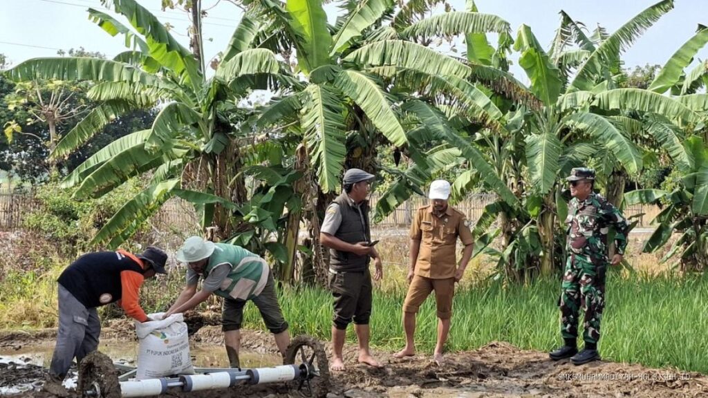 Cegah Kendala Lahan, Danramil Lelea & BPP Beri Arahan Petani Tunggul Payung