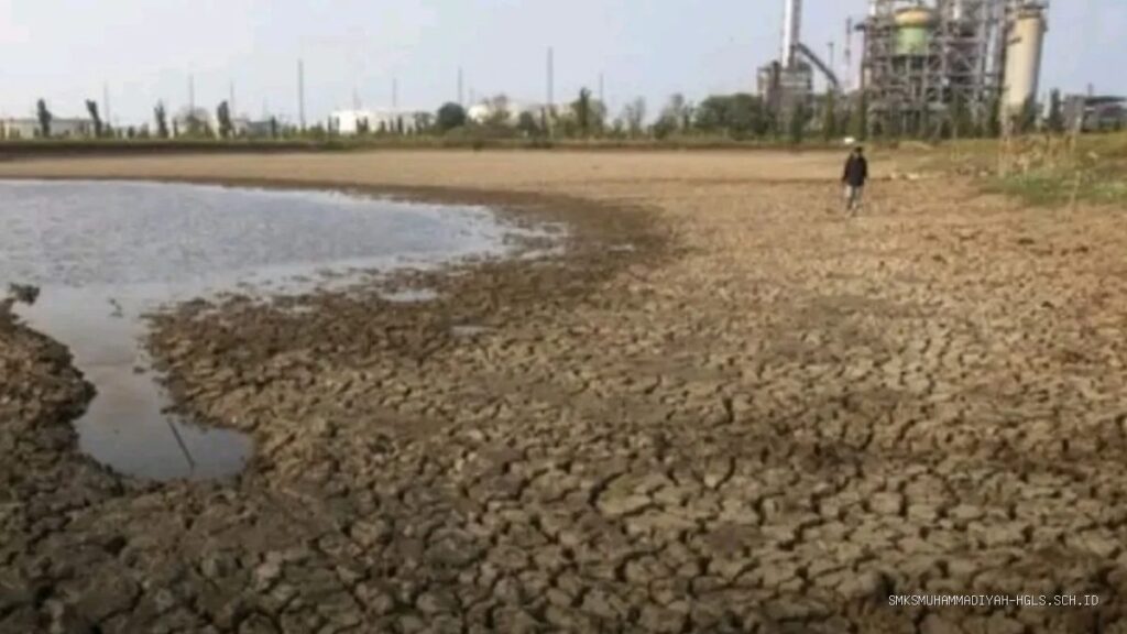 Krisis Air Embung Balongan: 550 Hektare Sawah di Indramayu Terancam Gagal Panen