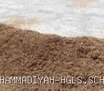 Harga Gabah Indramayu Tembus Rp9.200 per Kg, Ujian Berat Penggilingan
