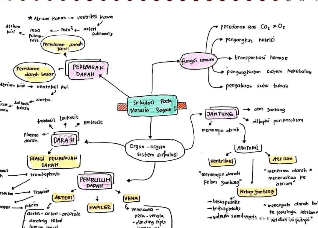 Photo by id.pinterest.com - Panduan Mind Mapping untuk Pelajar: Manfaat dan Langkah Membuatnya