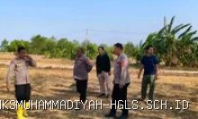 Polres Indramayu Cek Lahan Jagung Gantar, Perkuat Ketahanan Pangan