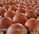 Update Harga Sembako Haurgeulis Indramayu: Beras dan Ayam Turun, Gula Naik