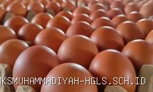 Update Harga Sembako Haurgeulis Indramayu: Beras dan Ayam Turun, Gula Naik
